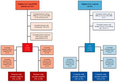 Individual Watershed Areas in Sickle Cell Anemia: An Arterial Spin Labeling Study